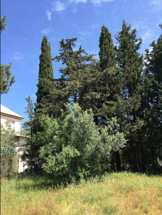 Villa Salomi Lefkáda Dış mekan fotoğraf